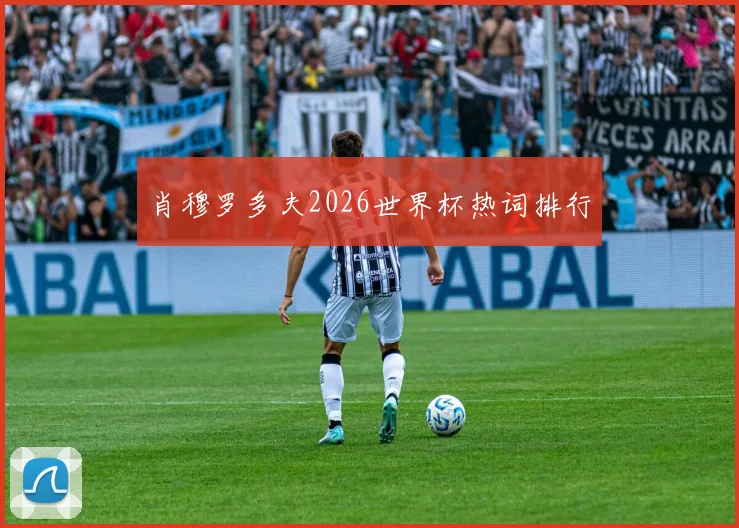 肖穆罗多夫2026世界杯热词排行