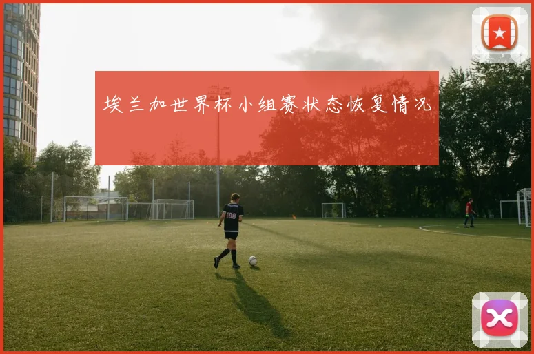 埃兰加世界杯小组赛状态恢复情况