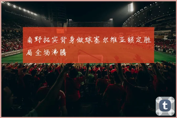 南野拓实背身做球塞尔维亚锁定胜局全场沸腾