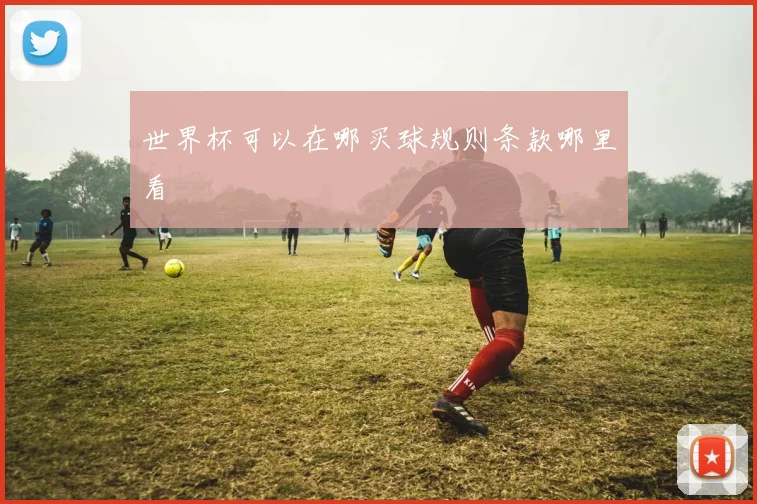 世界杯可以在哪买球规则条款哪里看