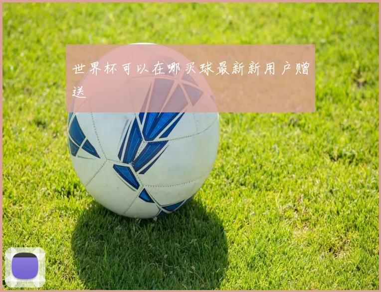 世界杯可以在哪买球最新新用户赠送