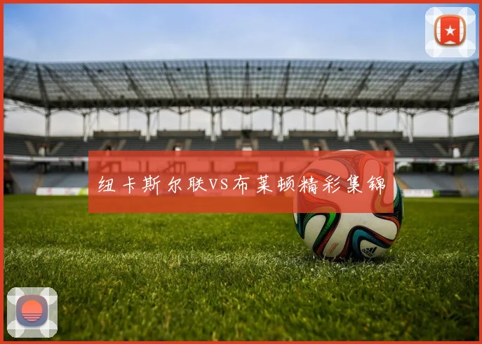 纽卡斯尔联vs布莱顿精彩集锦