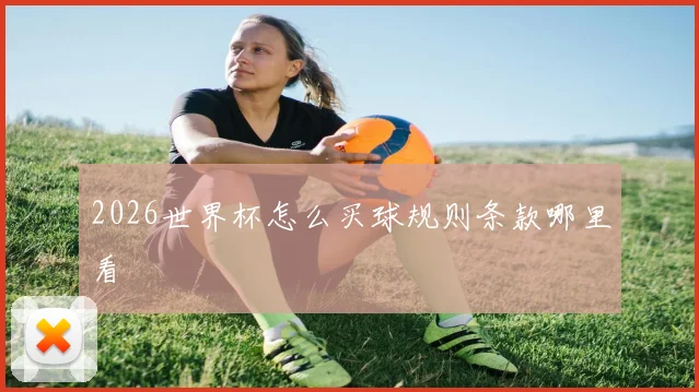 2026世界杯怎么买球规则条款哪里看