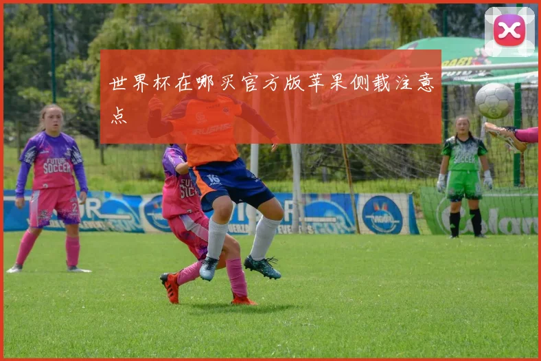 世界杯在哪买官方版苹果侧载注意点