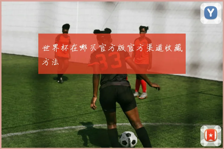世界杯在哪买官方版官方渠道收藏方法